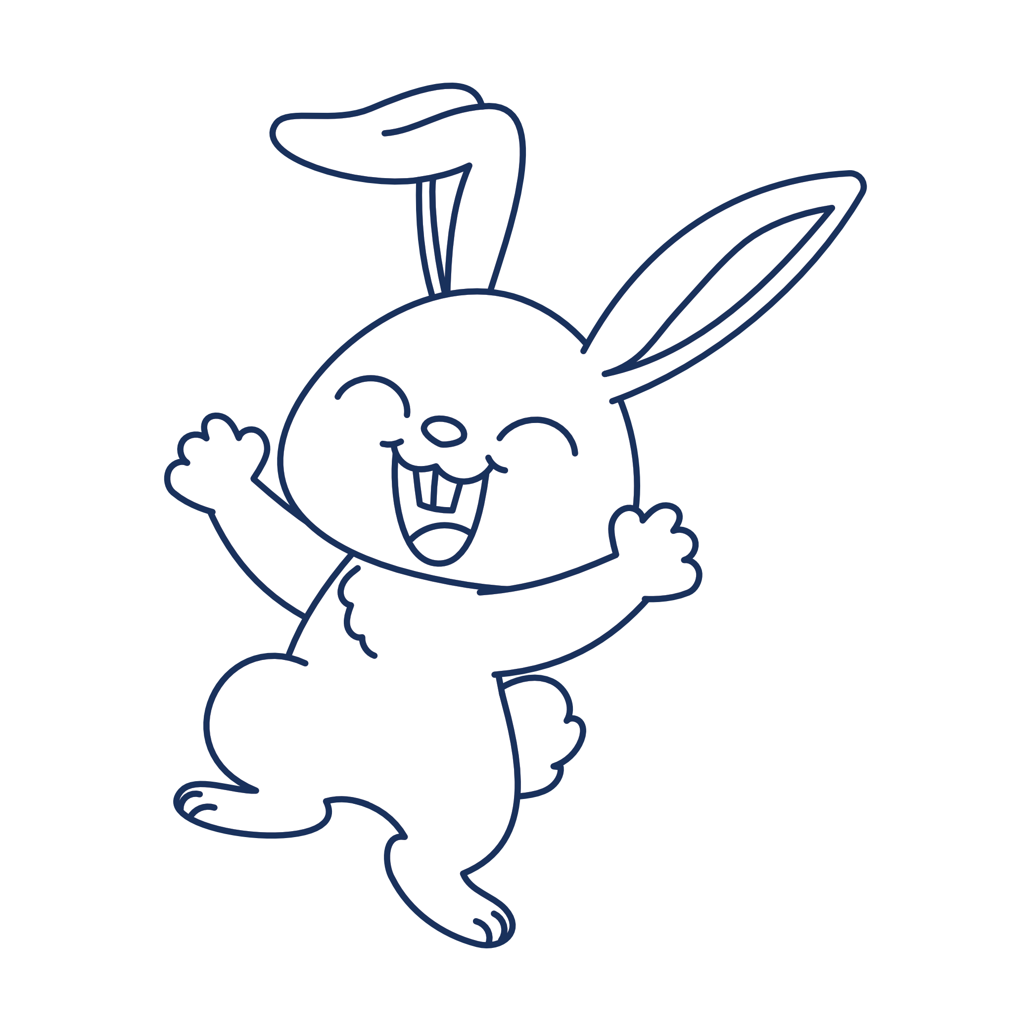 rabbit.png